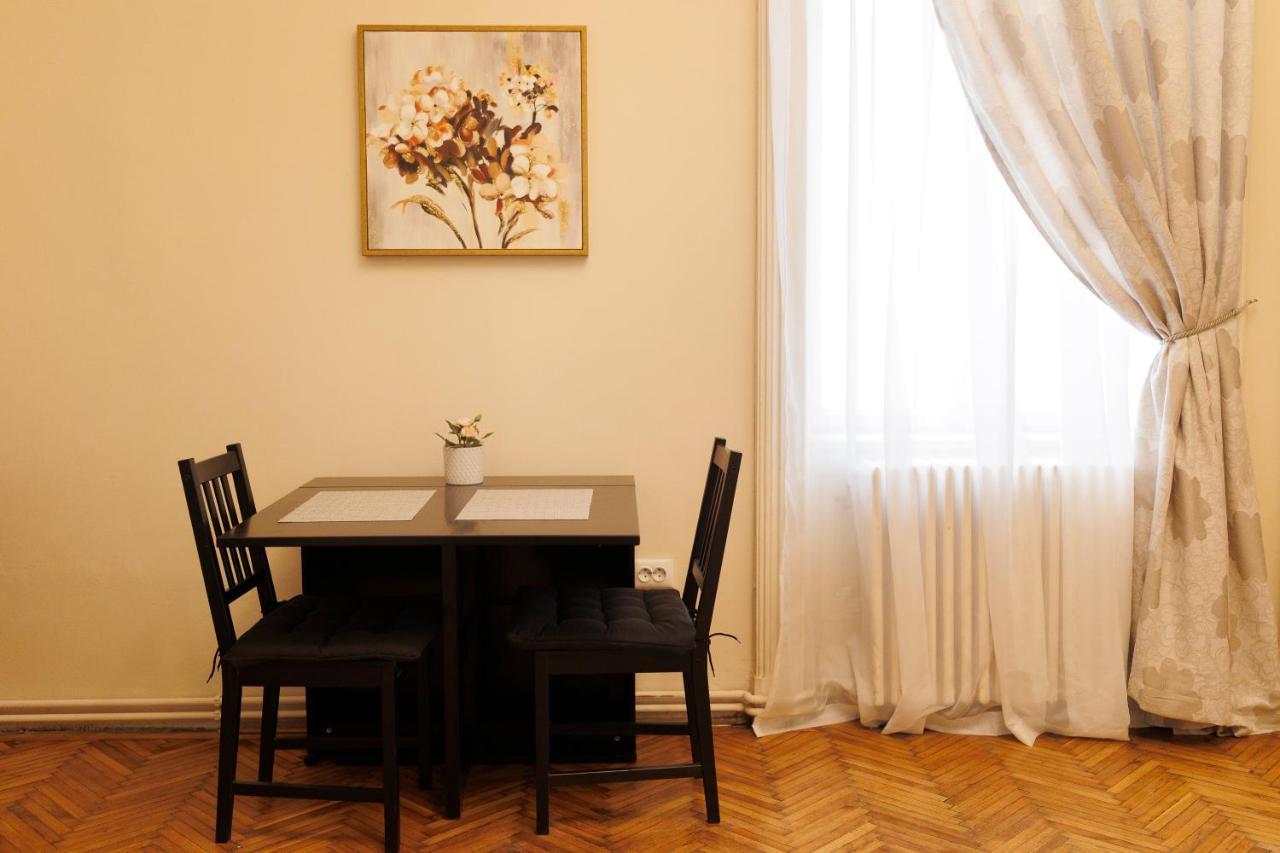 Spacious Flat In Old Town Wi-Fi Τιμισοάρα Εξωτερικό φωτογραφία